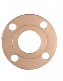 FlawTech Forged Pipe Flange